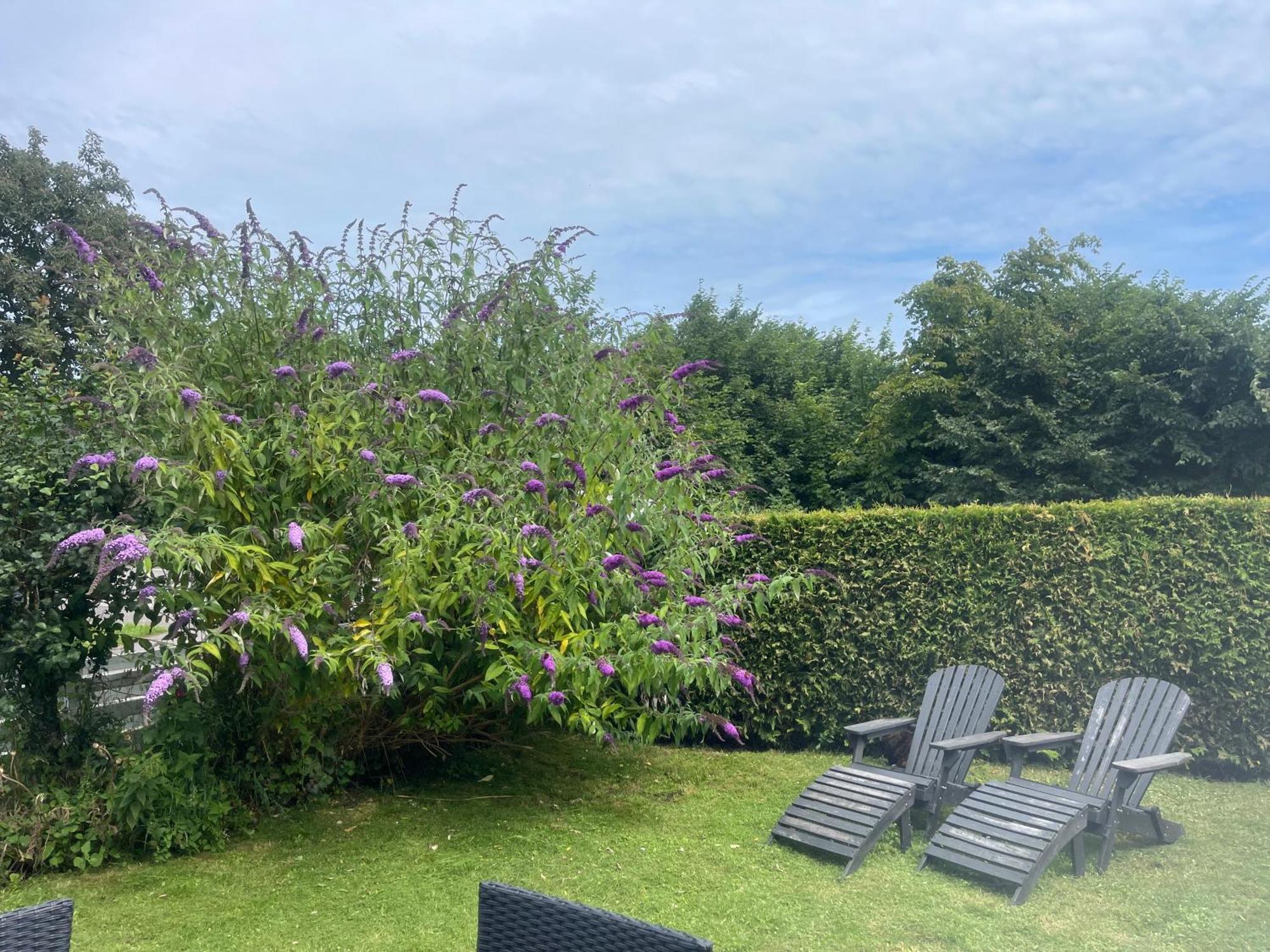 Heidis Residence-Sandkaas, Bornholm Allinge-Sandvig Екстер'єр фото